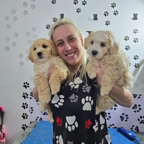 Dra. Cris com dois filhotes de poodle